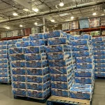 Affordable Costco bulk toilet paper liquidation - Discount Costco toilet paper wholesale - Bulk hygiene products Costco